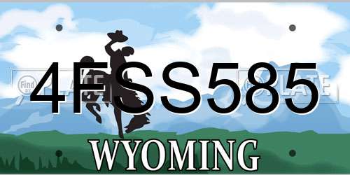 4FSS585 Wyoming License Plate