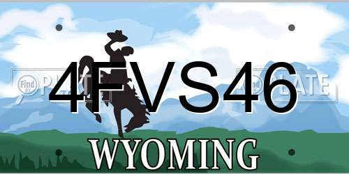 4FVS46 Wyoming License Plate