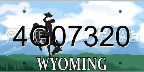 4G07320 Wyoming License Plate
