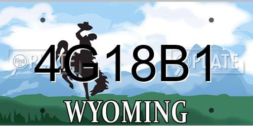 4G18B1 Wyoming License Plate