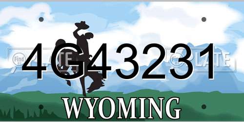 4G43231 Wyoming License Plate