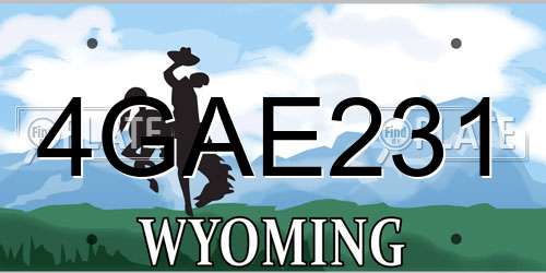 4GAE231 Wyoming License Plate