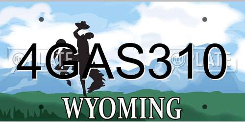4GAS310 Wyoming License Plate