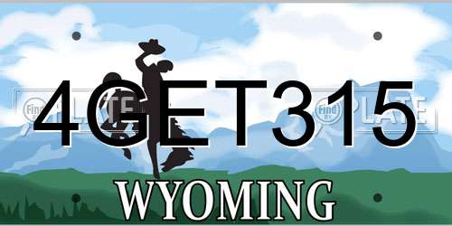 4GET315 Wyoming License Plate