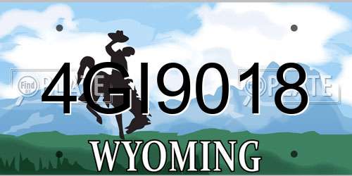 4GI9018 Wyoming License Plate