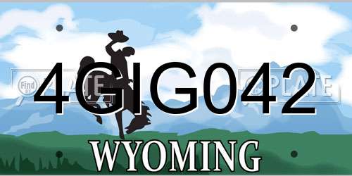 4GIG042 Wyoming License Plate