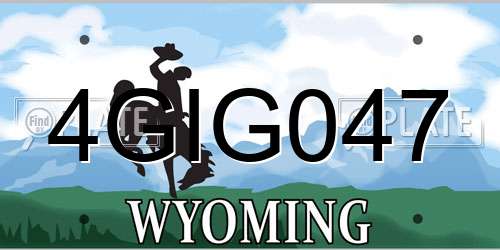 4GIG047 Wyoming License Plate