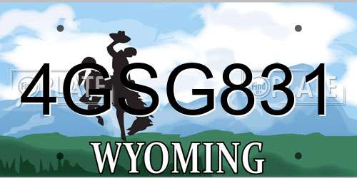 4GSG831 Wyoming License Plate