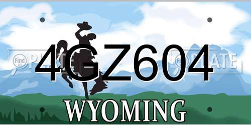 4GZ604 Wyoming License Plate