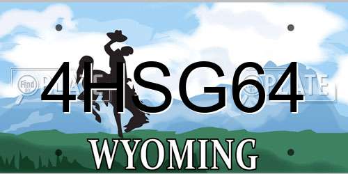 4HSG64 Wyoming License Plate