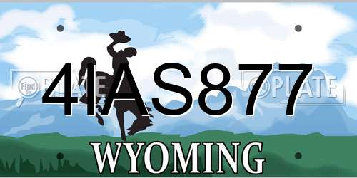4IAS877 Wyoming License Plate