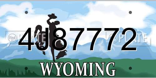 4J87772 Wyoming License Plate