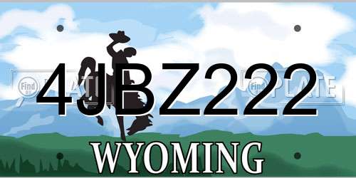 4JBZ222 Wyoming License Plate