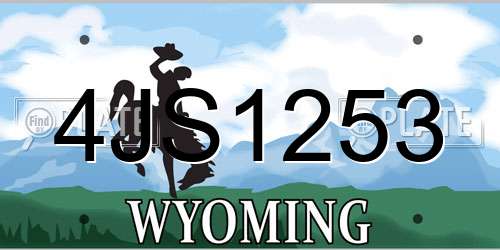 4JS1253 Wyoming License Plate