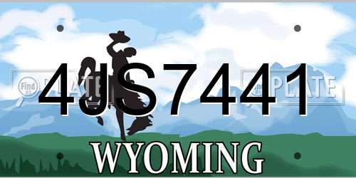 4JS7441 Wyoming License Plate