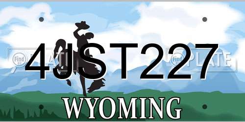 4JST227 Wyoming License Plate
