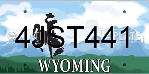 4JST441 Wyoming License Plate