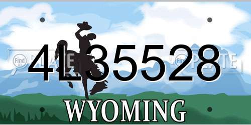 4L35528 Wyoming License Plate