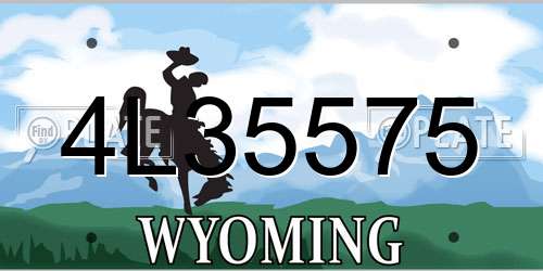 4L35575 Wyoming License Plate