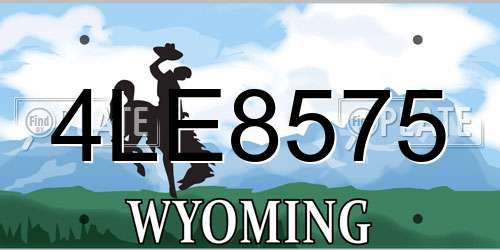 4LE8575 Wyoming License Plate