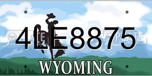 4LE8875 Wyoming License Plate