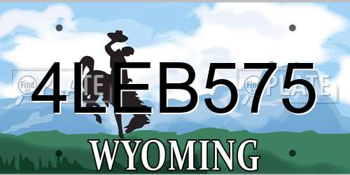 4LEB575 Wyoming License Plate