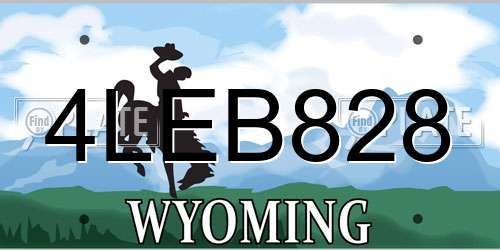 4LEB828 Wyoming License Plate
