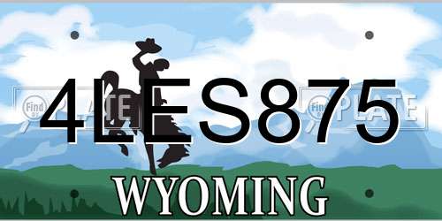 4LES875 Wyoming License Plate