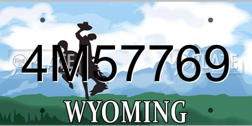 4M57769 Wyoming License Plate