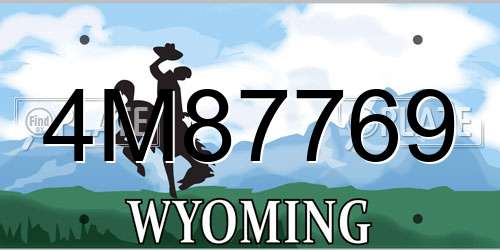 4M87769 Wyoming License Plate