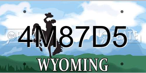 4M87D5 Wyoming License Plate