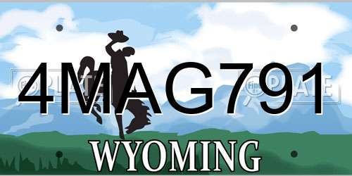 4MAG791 Wyoming License Plate