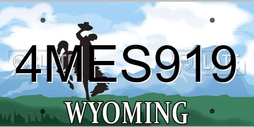 4MES919 Wyoming License Plate