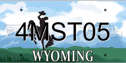 4MST05 Wyoming License Plate