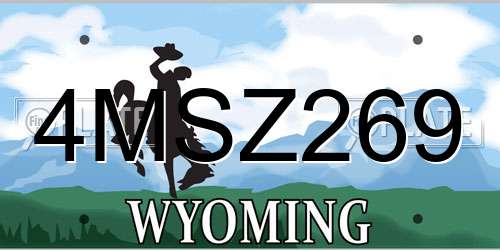 4MSZ269 Wyoming License Plate