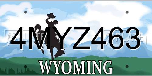 4MYZ463 Wyoming License Plate
