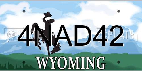4NAD42 Wyoming License Plate