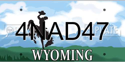 4NAD47 Wyoming License Plate