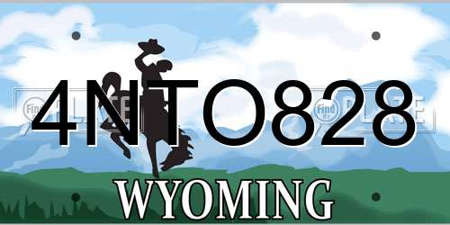 4NTO828 Wyoming License Plate