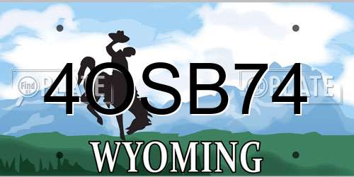 4OSB74 Wyoming License Plate