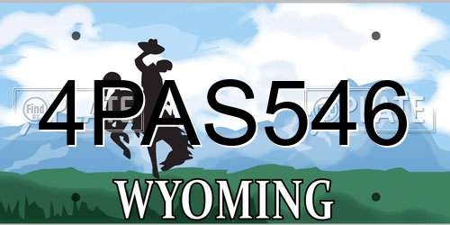4PAS546 Wyoming License Plate
