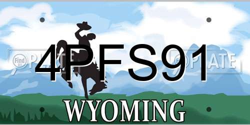 4PFS91 Wyoming License Plate