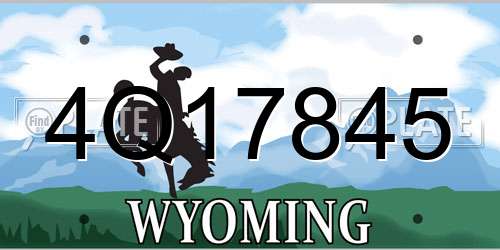4Q17845 Wyoming License Plate
