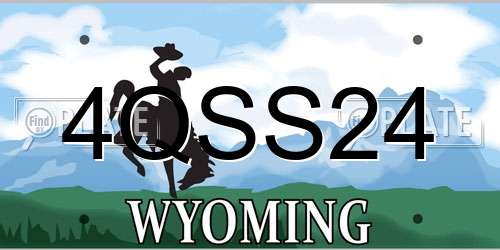 4QSS24 Wyoming License Plate