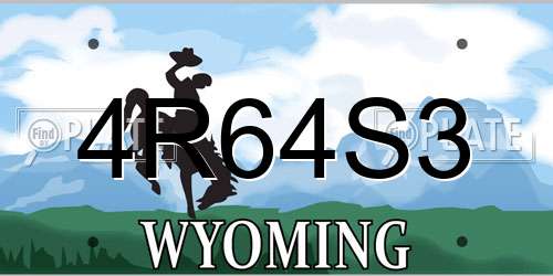 4R64S3 Wyoming License Plate
