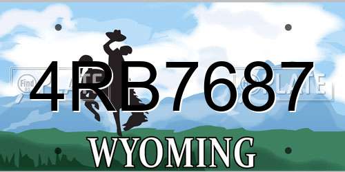 4RB7687 Wyoming License Plate