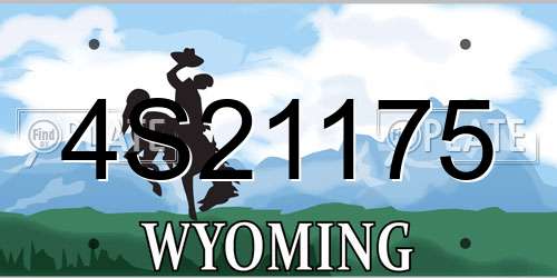 4S21175 Wyoming License Plate