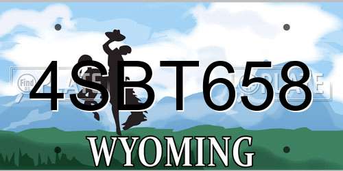 4SBT658 Wyoming License Plate
