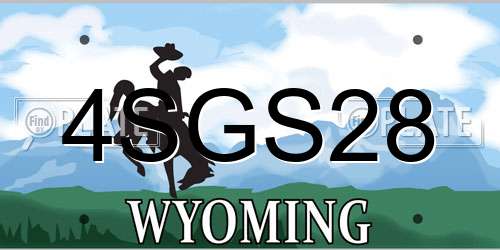 4SGS28 Wyoming License Plate