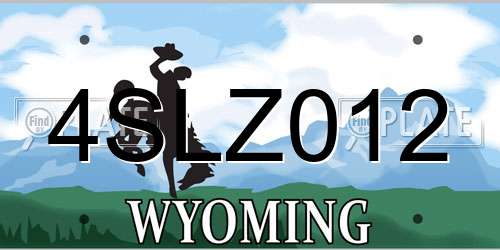 4SLZ012 Wyoming License Plate